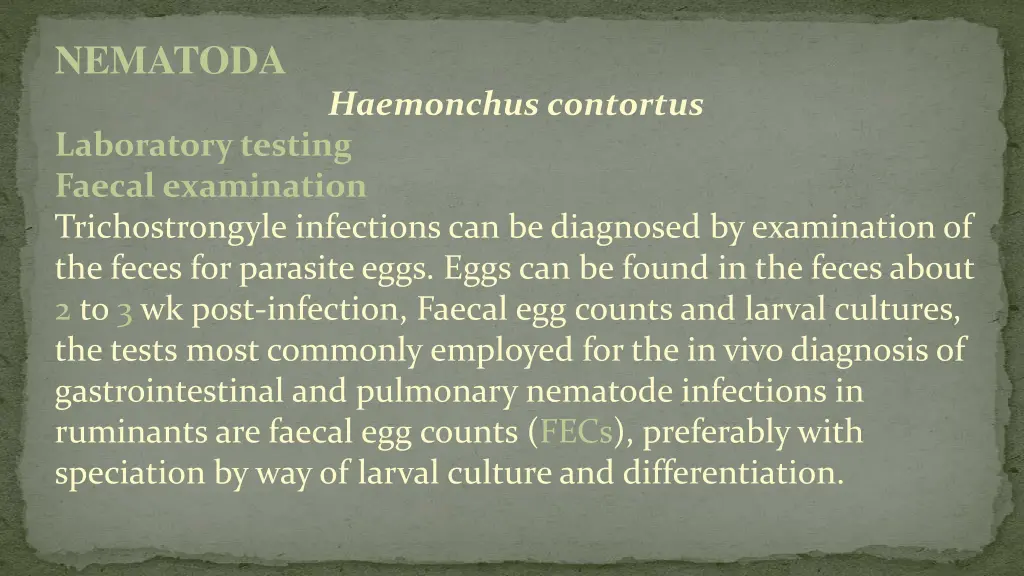 nematoda 9