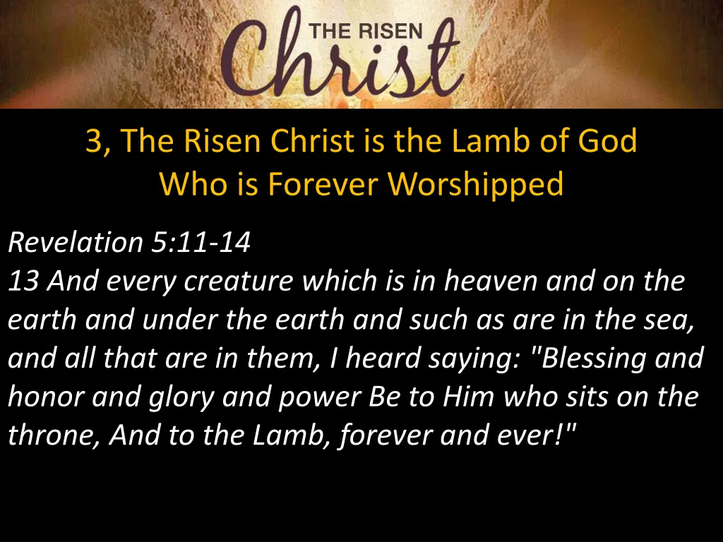 3 the risen christ is the lamb 1