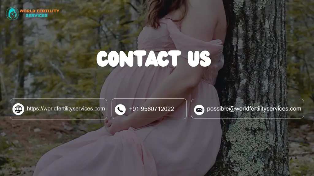 contact us