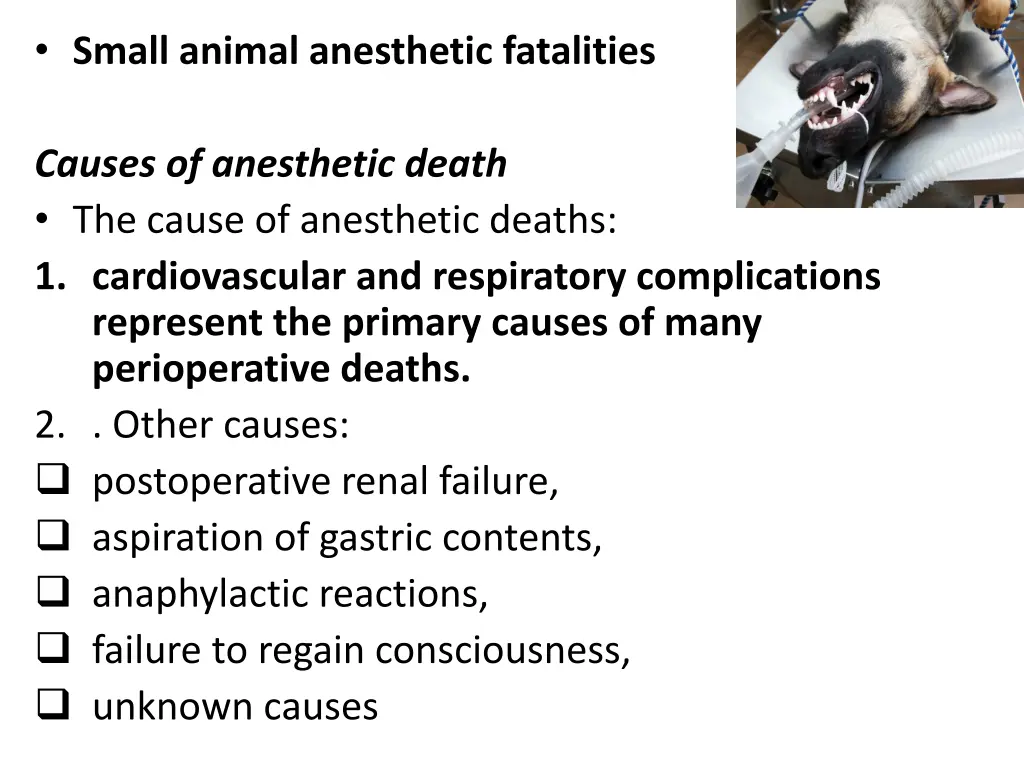 small animal anesthetic fatalities