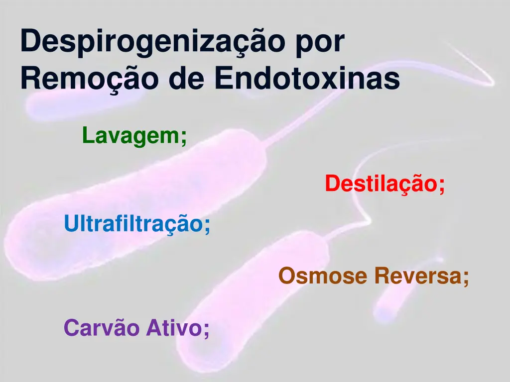 despirogeniza o por remo o de endotoxinas