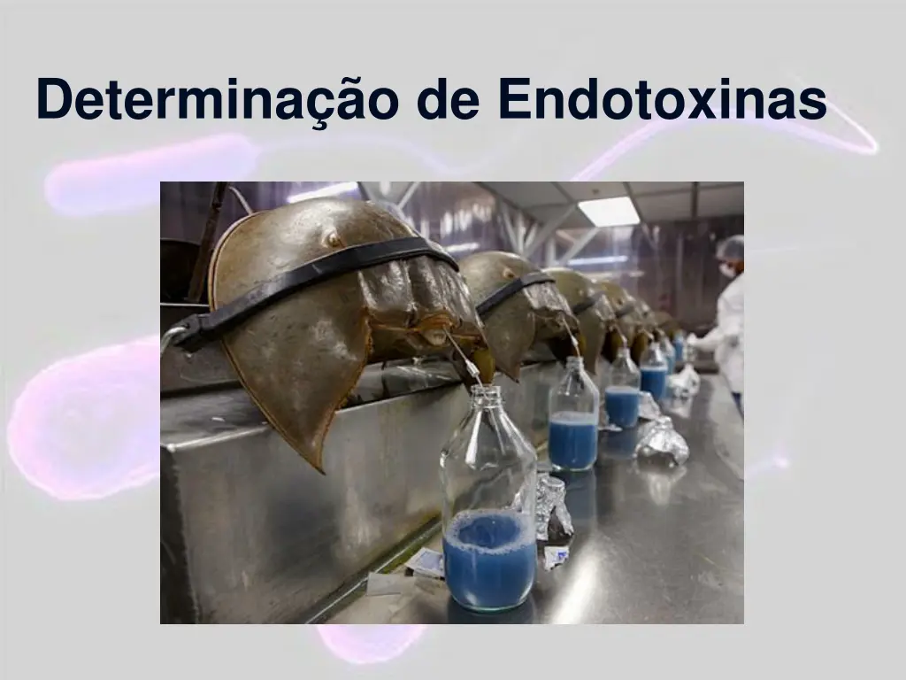 determina o de endotoxinas 2