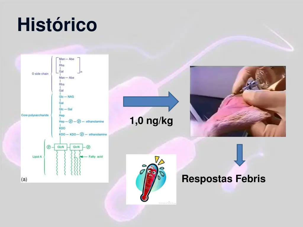 hist rico 12