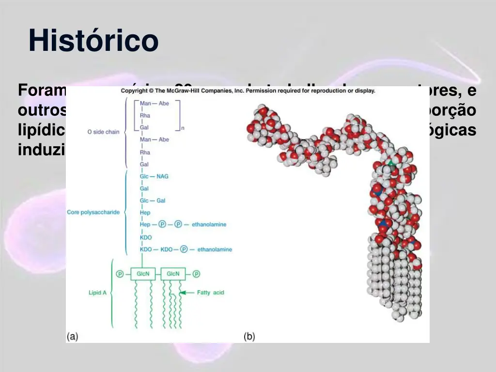 hist rico 13