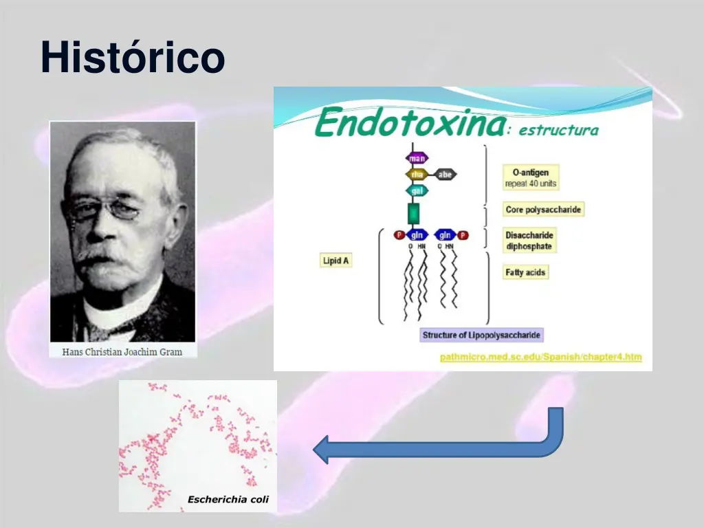 hist rico 6