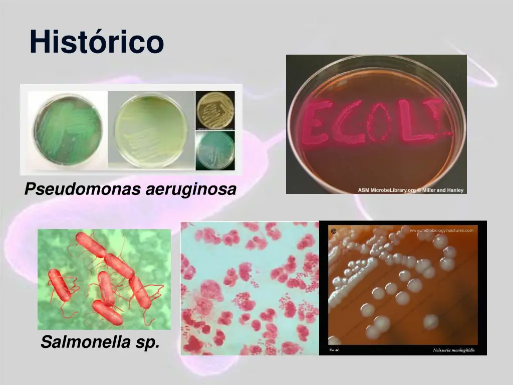 hist rico 7