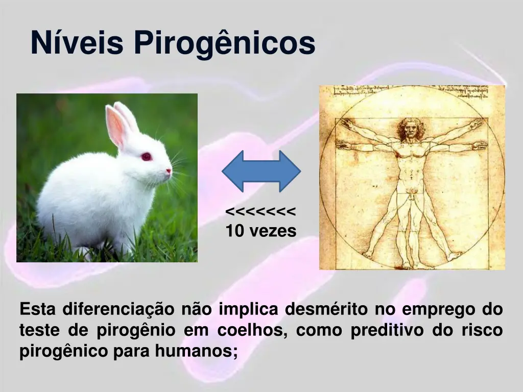 n veis pirog nicos 1