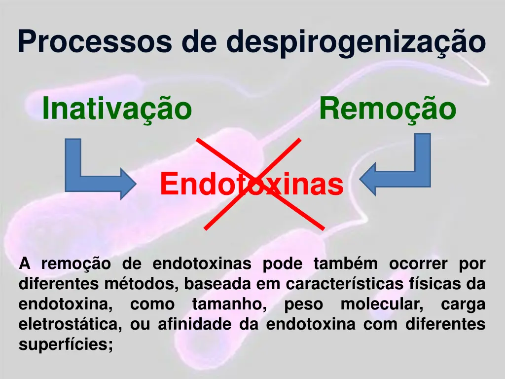 processos de despirogeniza o 1