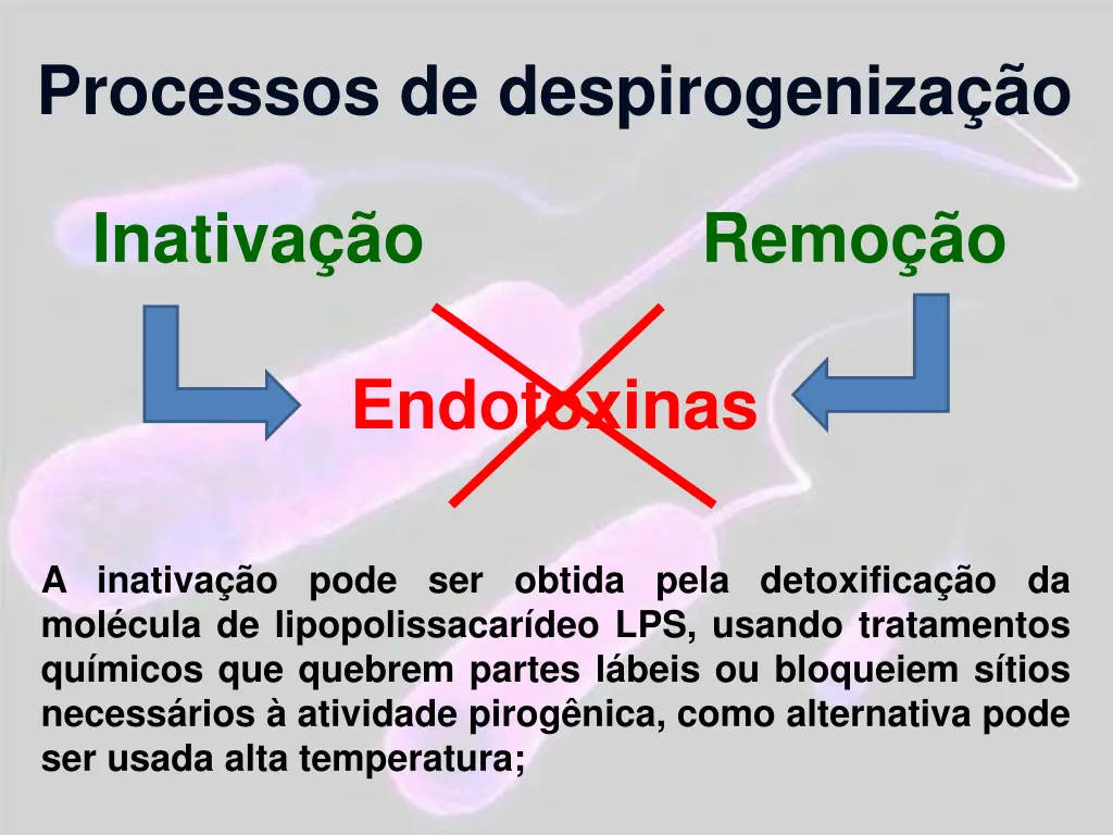 processos de despirogeniza o