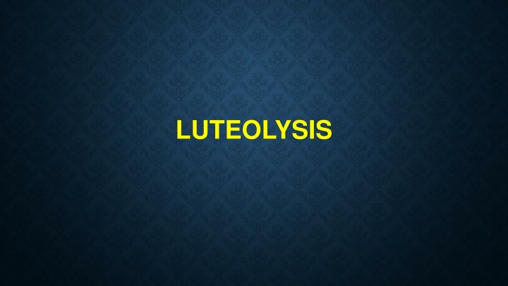 luteolysis