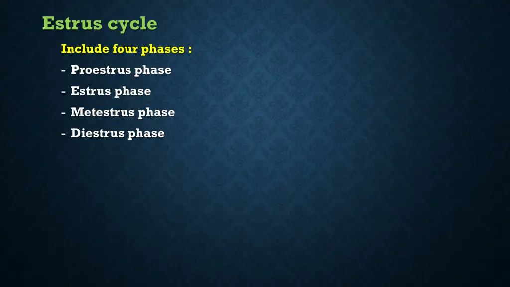 estrus cycle