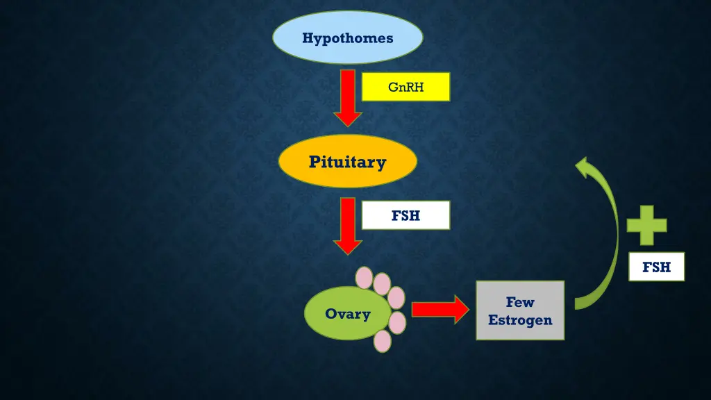 hypothomes
