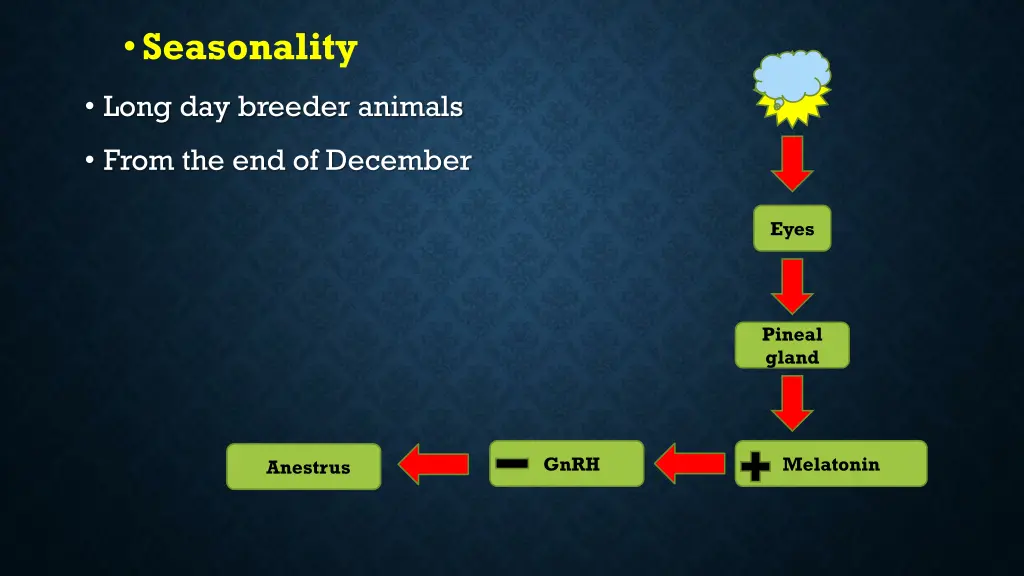 seasonality 1