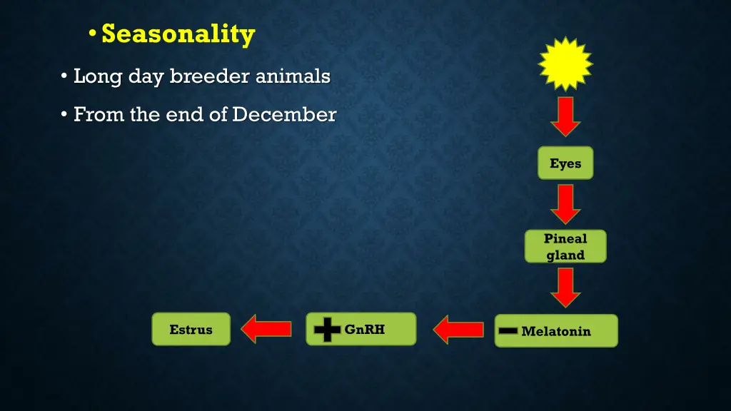 seasonality 2