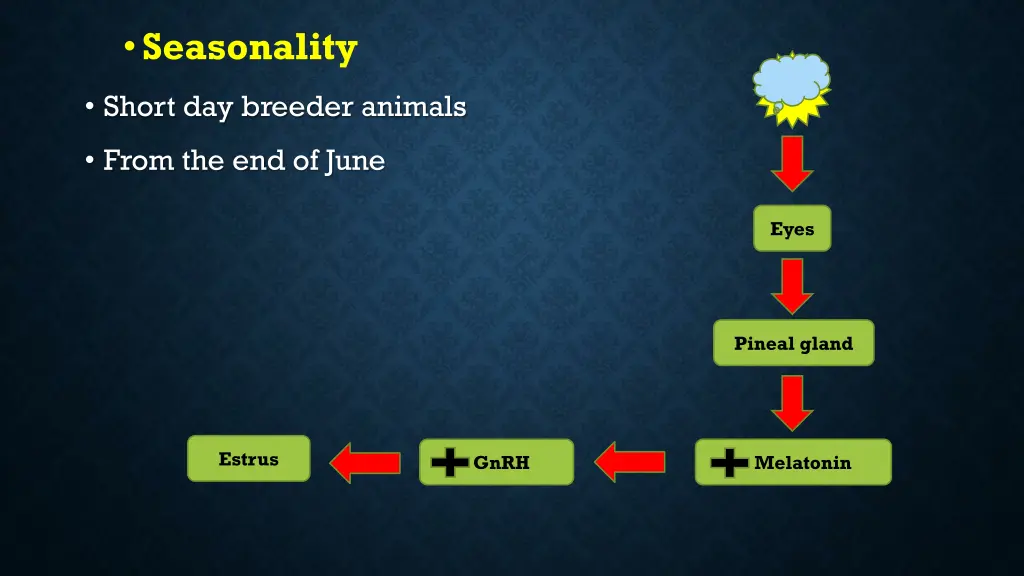 seasonality 4