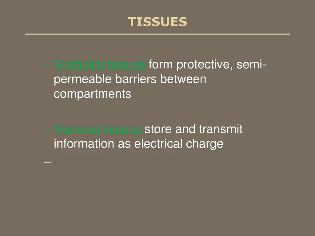tissues 1