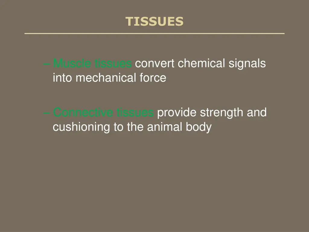 tissues 2