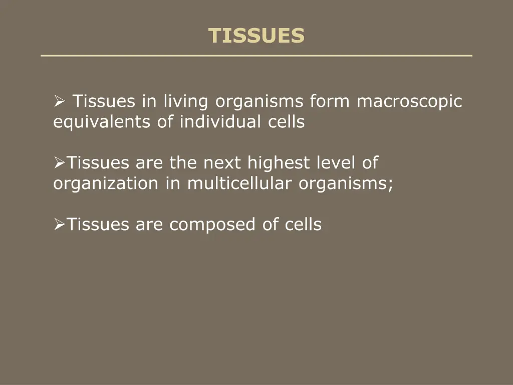 tissues