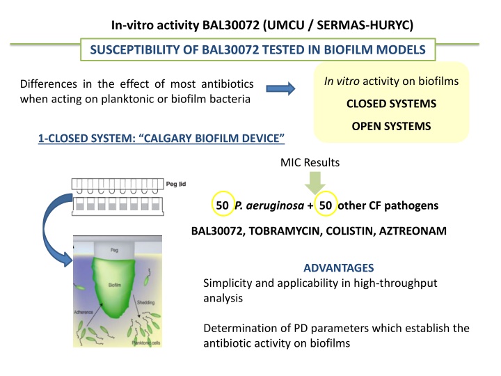 in vitro activity bal30072 umcu sermas huryc