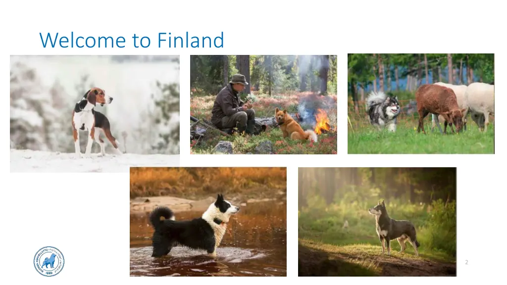 welcome to finland