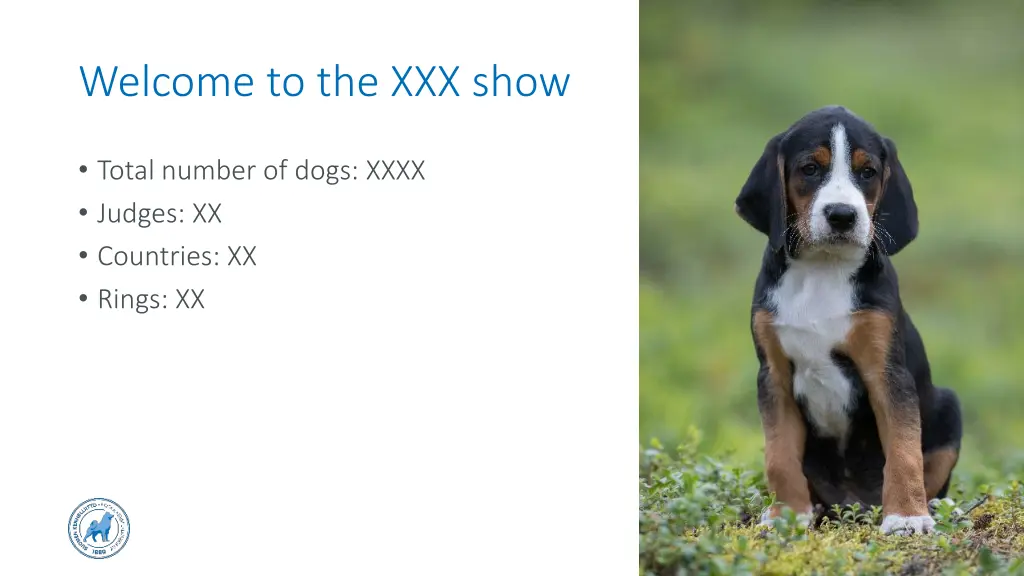 welcome to the xxx show