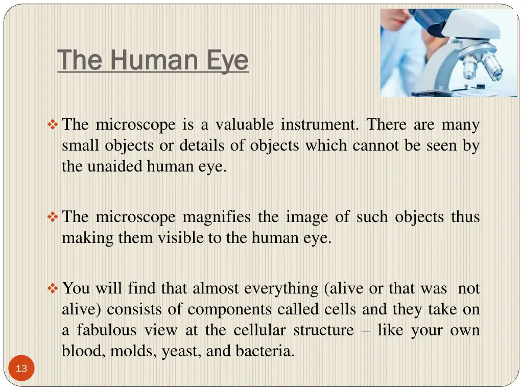 the human eye the human eye