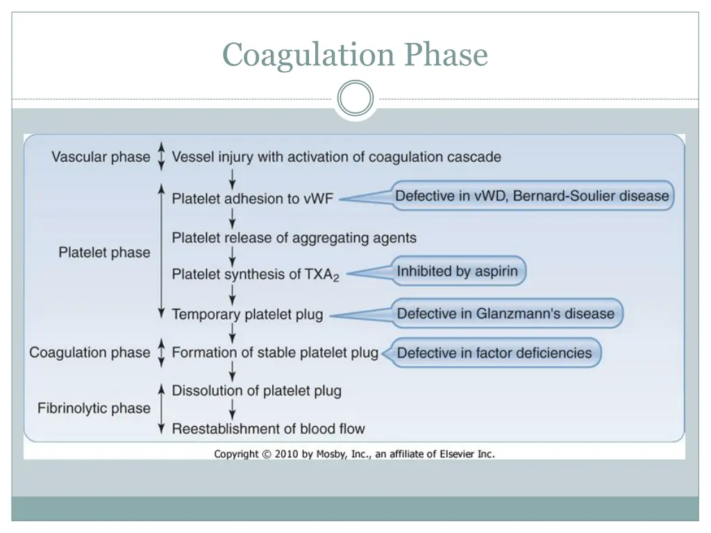 coagulation phase