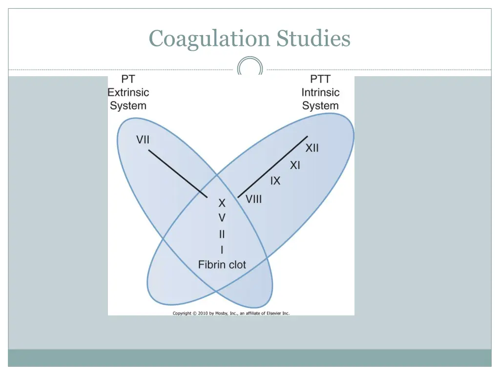 coagulation studies