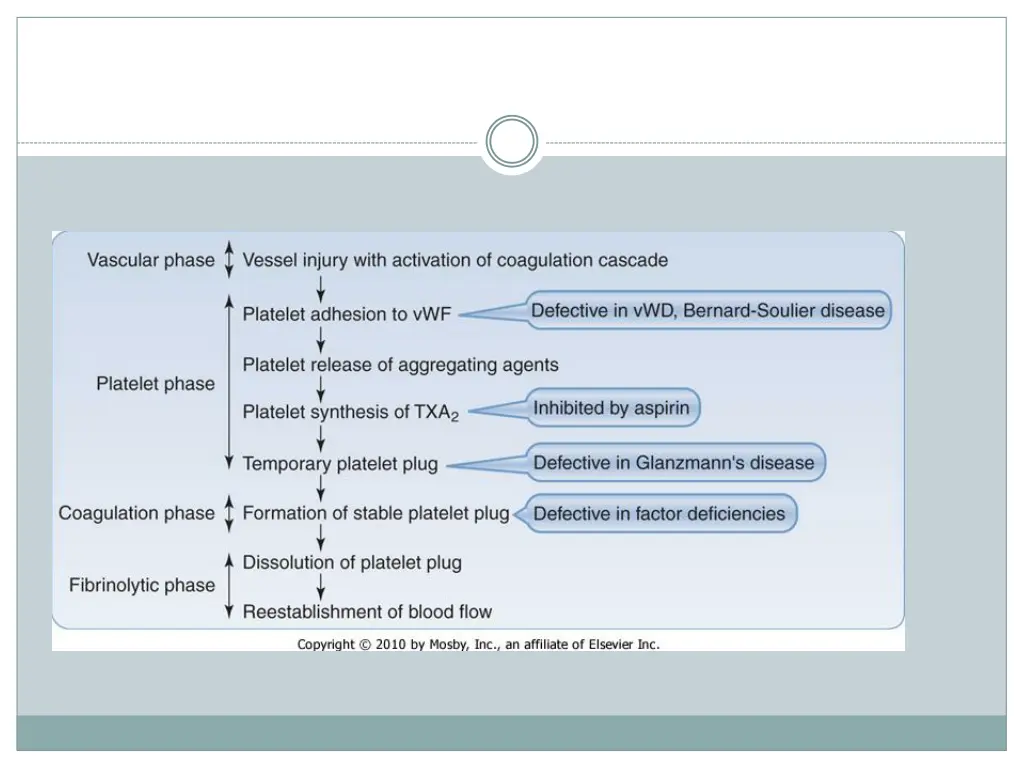 slide6