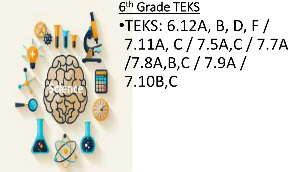 6 6 th th grade teks grade teks teks