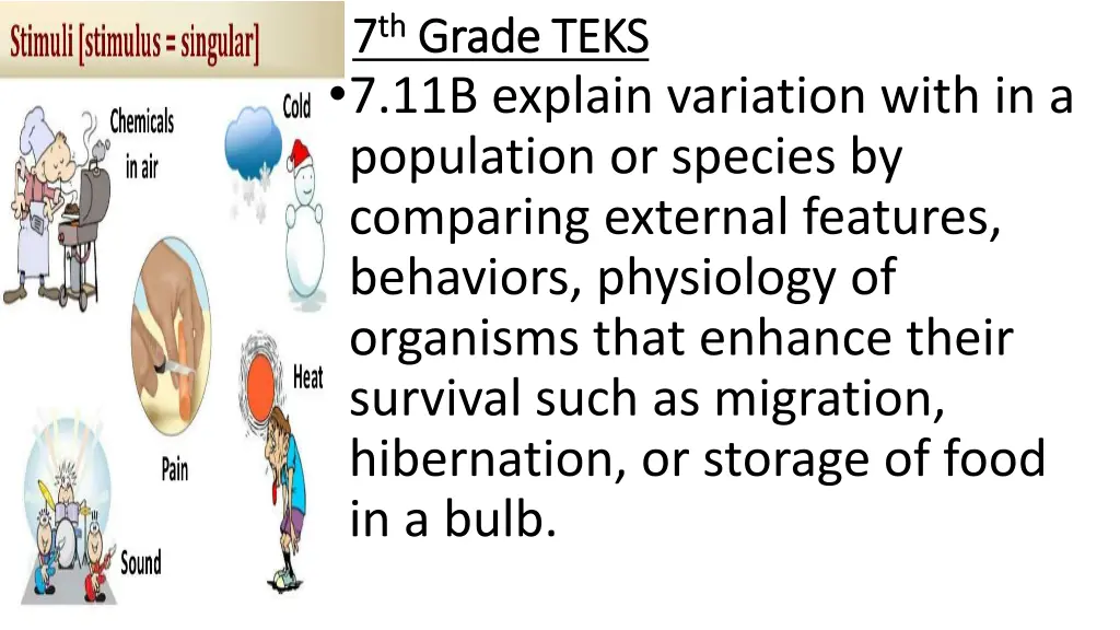 7 7 th th grade teks grade teks 7 11b explain