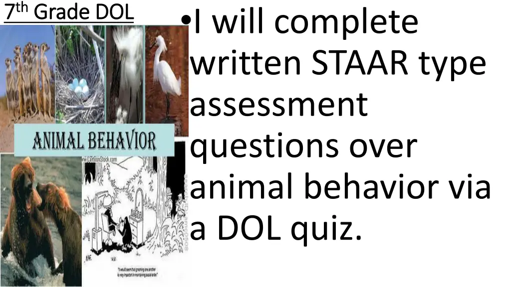 i will complete written staar type assessment