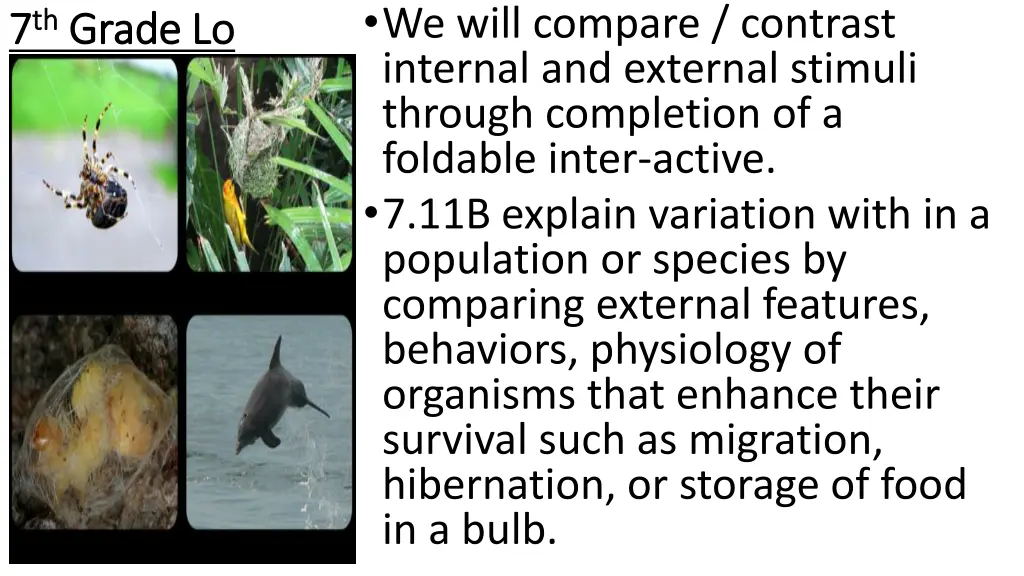 we will compare contrast internal and external