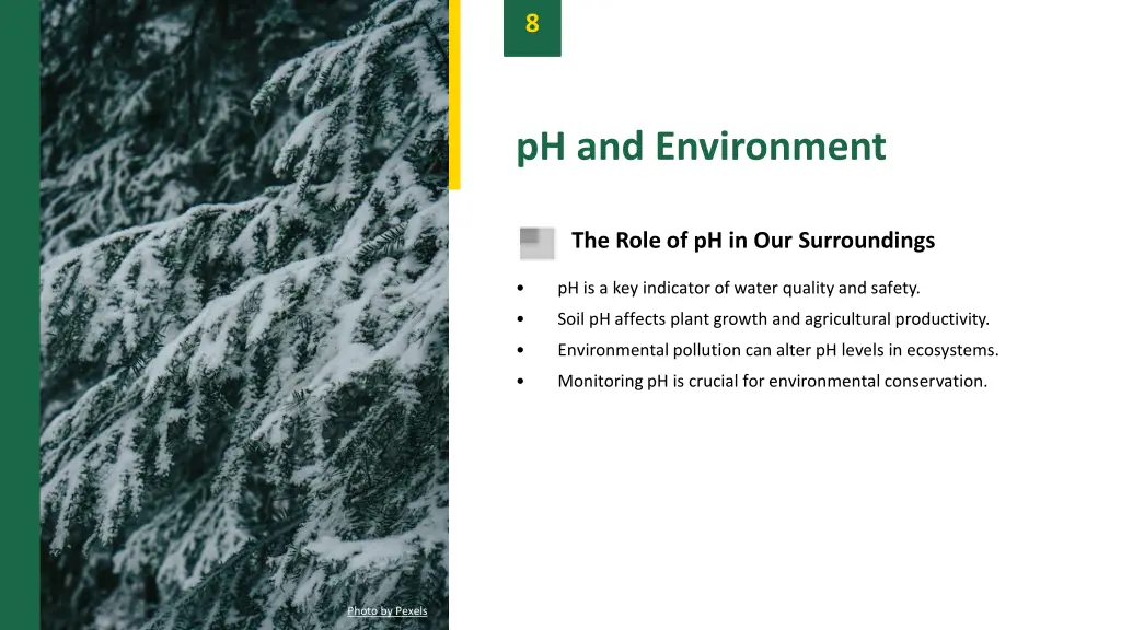 slide10
