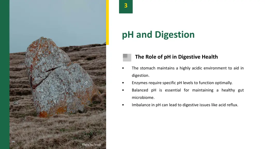 slide5