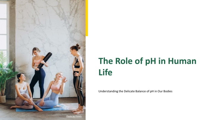 the role of ph in human life