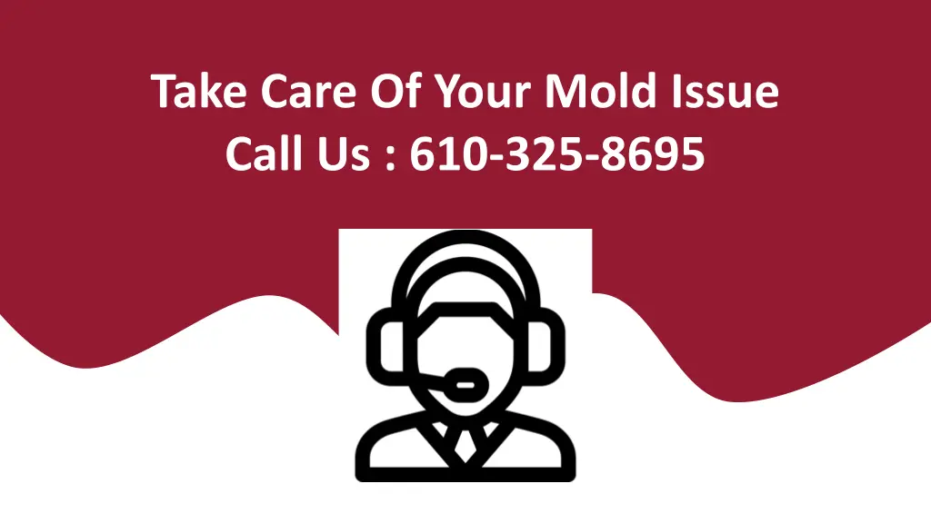 take care of your mold issue call us 610 325 8695