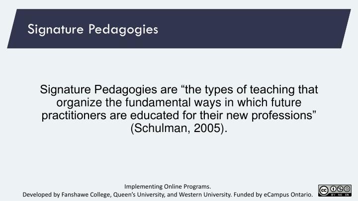 signature pedagogies