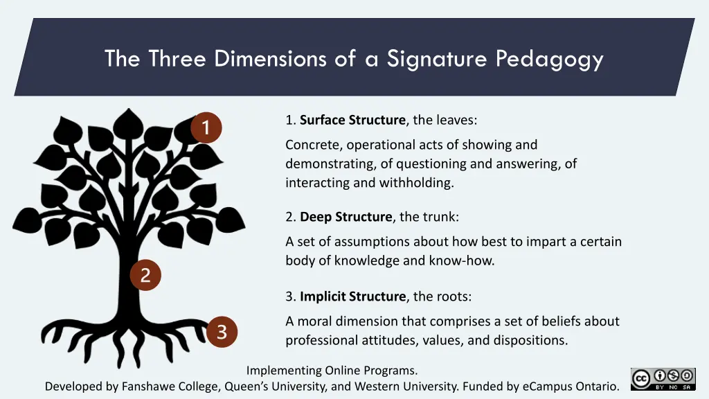 the three dimensions of a signature pedagogy