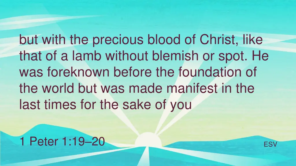 but with the precious blood of christ like that