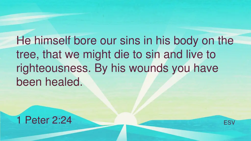 he himself bore our sins in his body on the tree