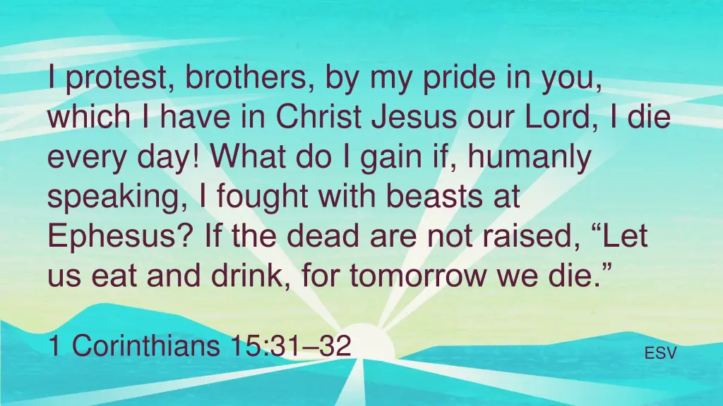 i protest brothers by my pride in you which