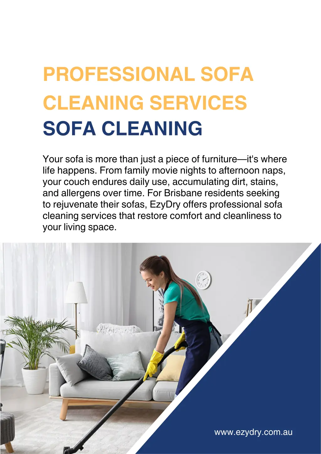 professional sofa cleaning services sofa cleaning