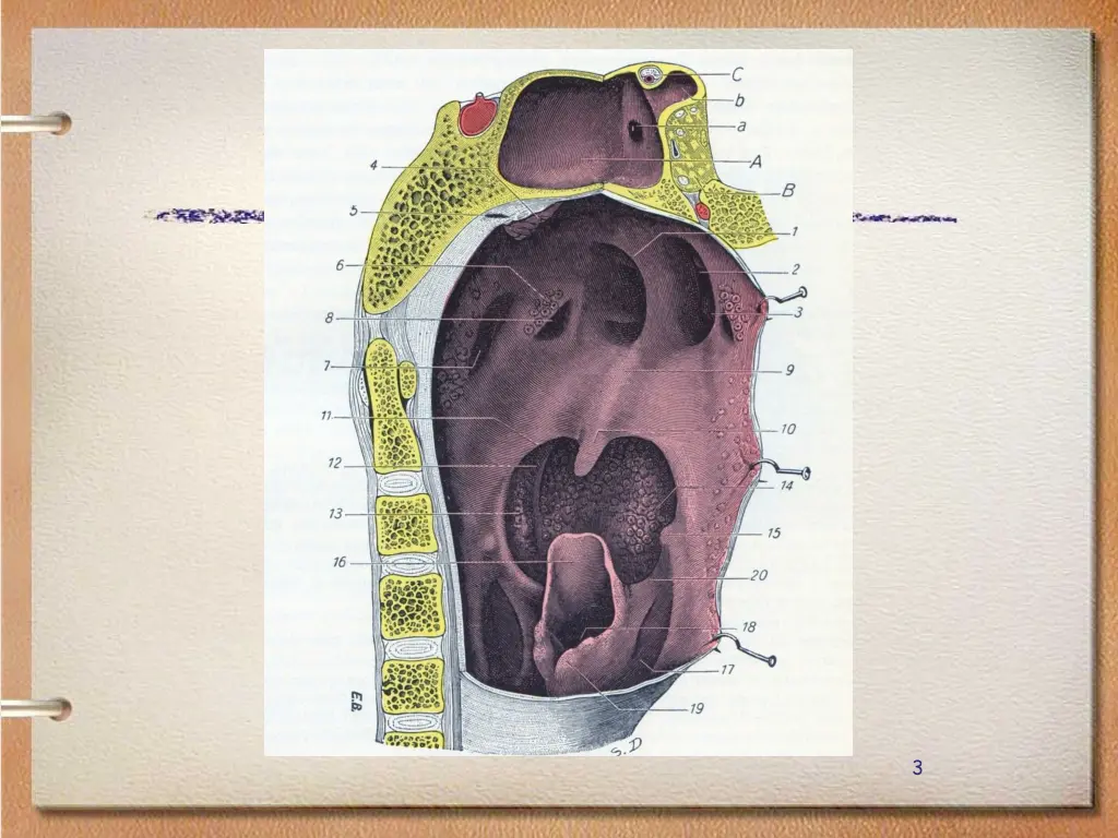 slide3