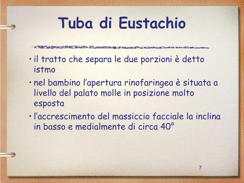 tuba di eustachio 1
