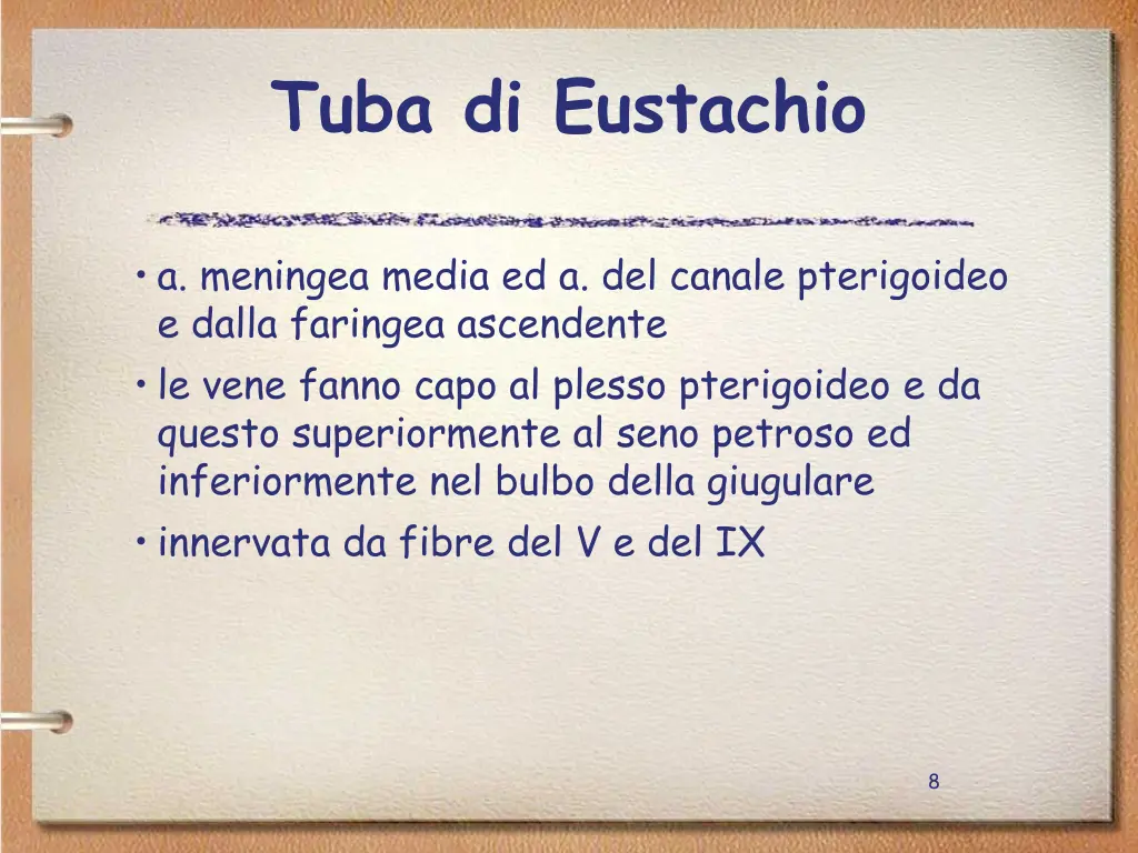 tuba di eustachio 2