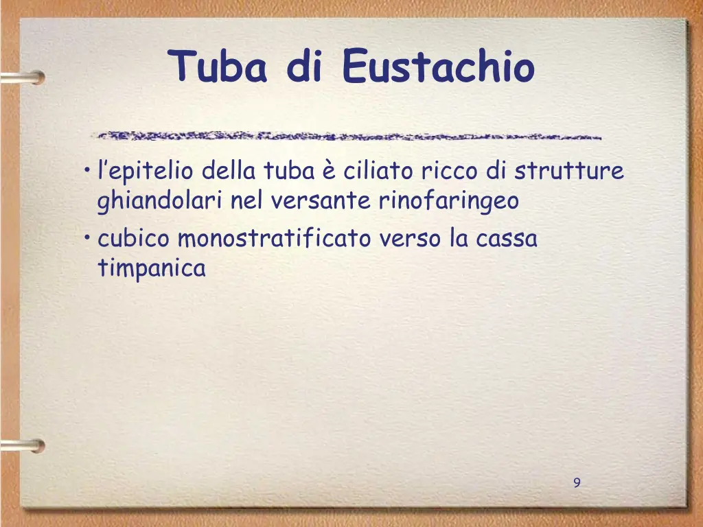 tuba di eustachio 3
