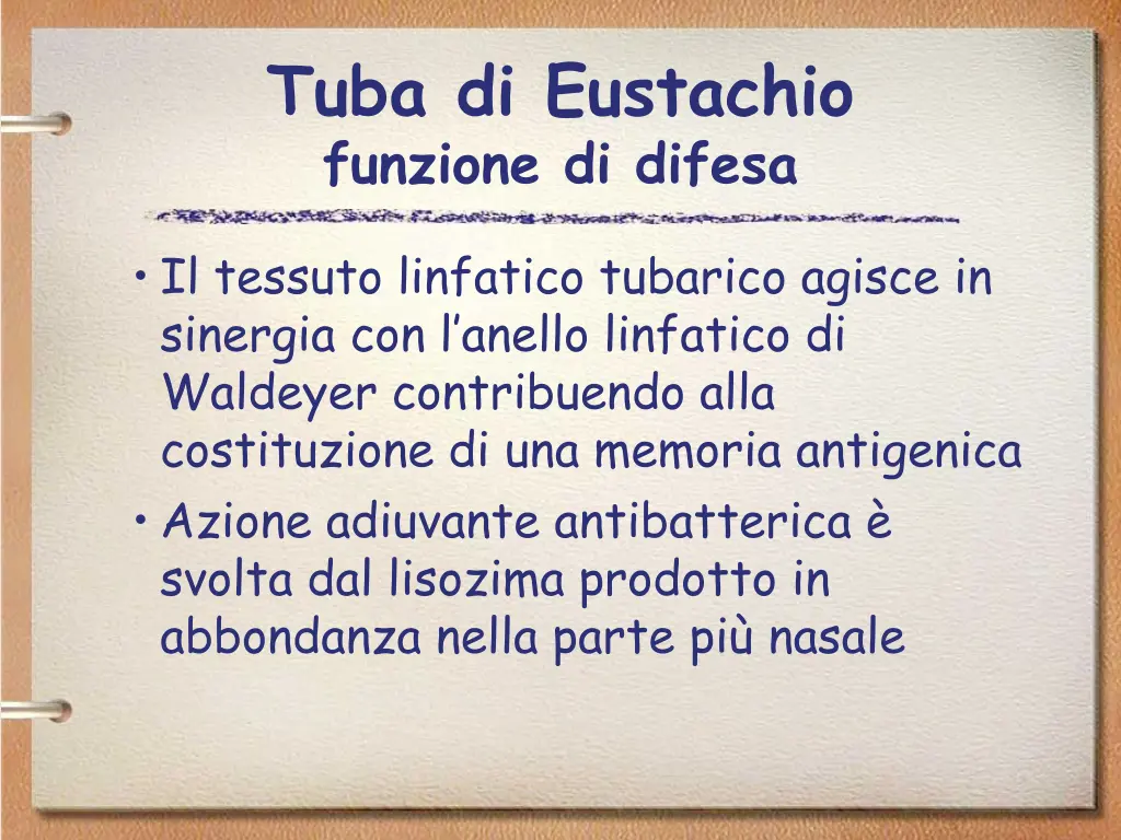 tuba di eustachio funzione di difesa 1
