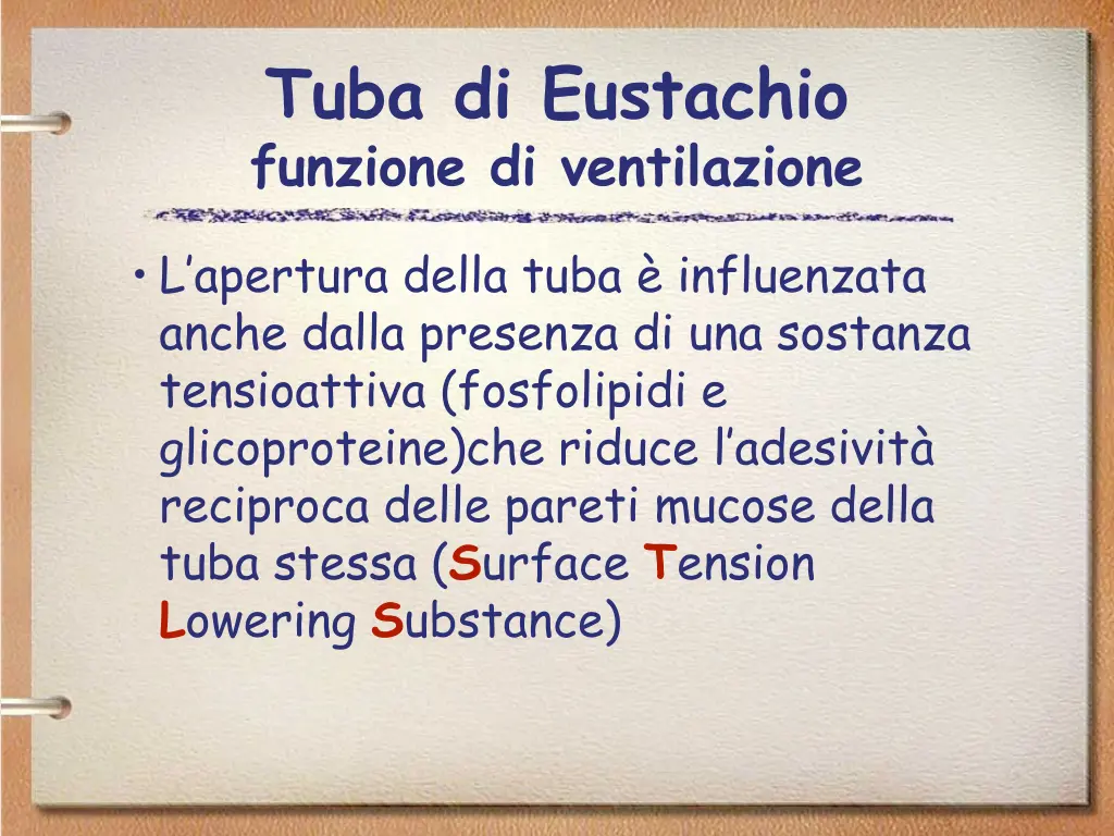 tuba di eustachio funzione di ventilazione 2