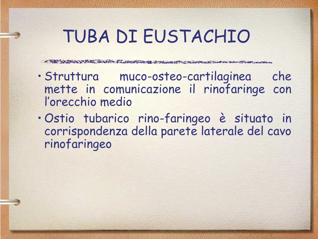 tuba di eustachio